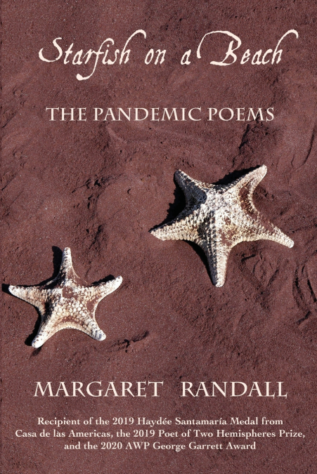 Starfish on a Beach