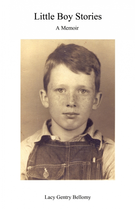 Little Boy Stories
