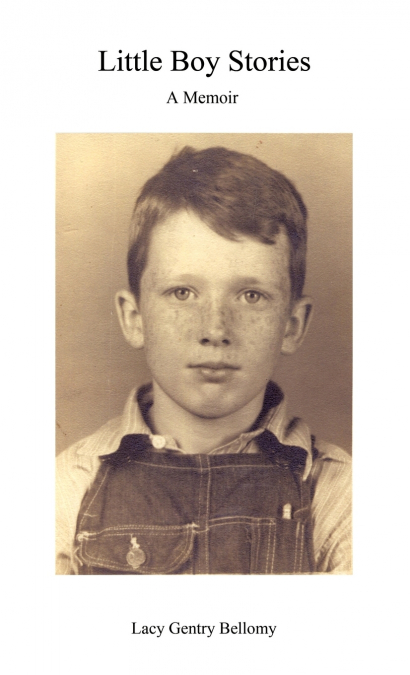 Little Boy Stories