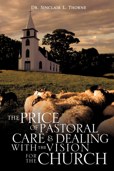 The Price of Pastoral Care and Dealing with the Vision for the Church