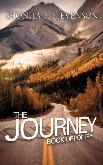 THE JOURNEY