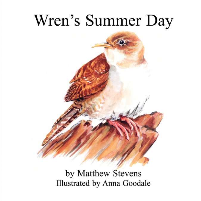 Wren’s Summer Day