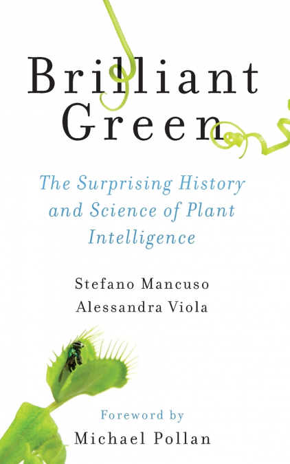 Brilliant Green