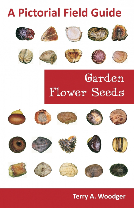 Garden Flower Seeds