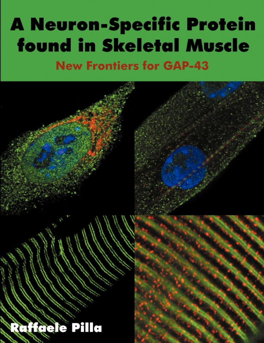 A Neuron-Specific Protein found in Skeletal Muscle
