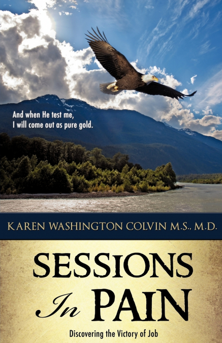 Sessions In Pain
