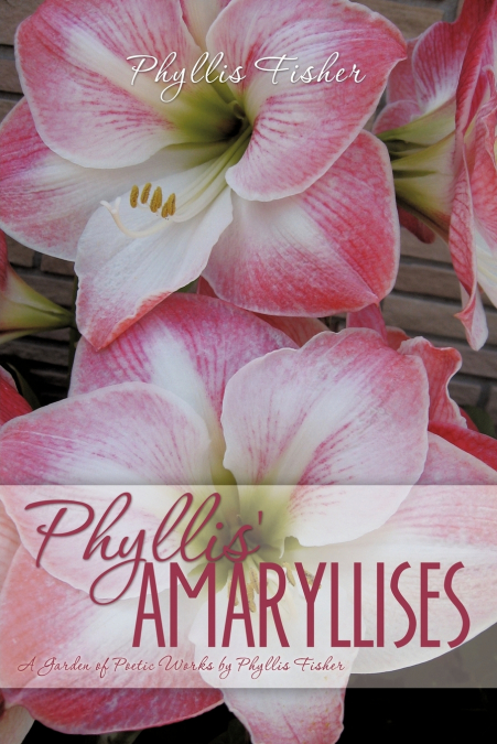 Phyllis’ Amaryllises