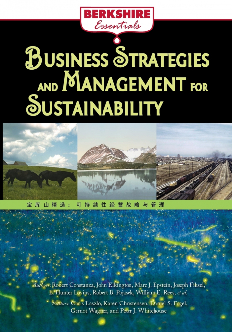 Business Strategies and Management for Sustainability