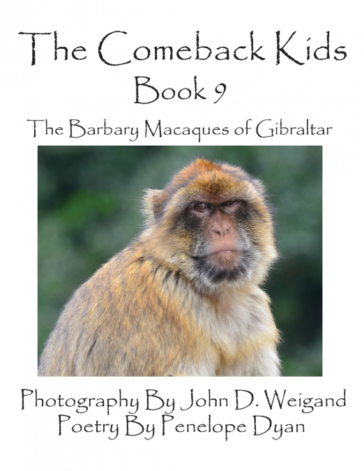 The Comeback Kids -- Book 9 -- The Barbary Macaques of Gibraltar
