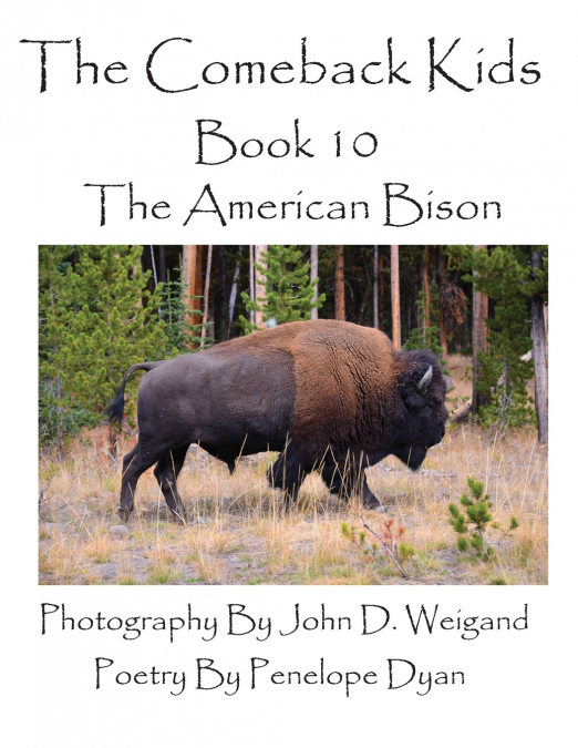 The Comeback Kids--Book 10--The American Bison