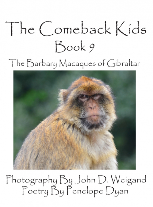 The Comeback Kids -- Book 9 -- The Barbary Macaques of Gibraltar