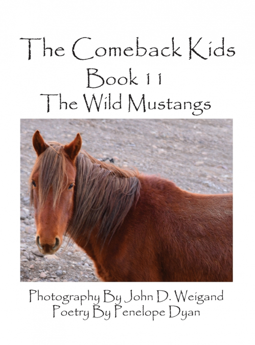 The Comeback Kids--Book 11--The Wild Mustangs