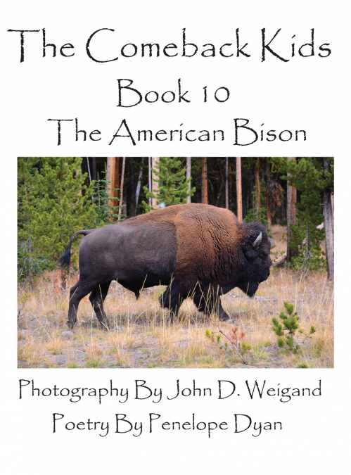 The Comeback Kids--Book 10--The American Bison