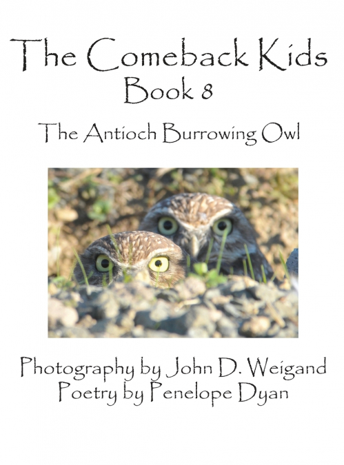 The Comeback Kids, Book 8, the Antioch Burrowing Owl