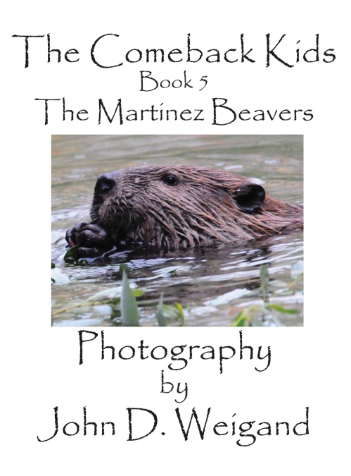 The Comeback Kids, Book 5, The Martinez Beavers