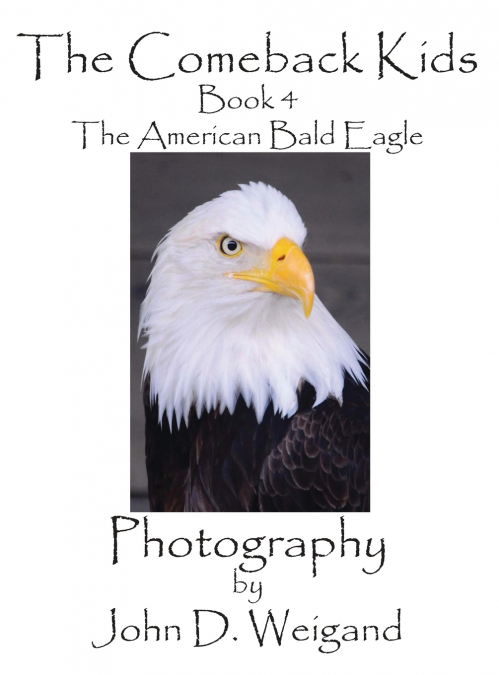The Comeback Kids, Book 4, The American Bald Eagle