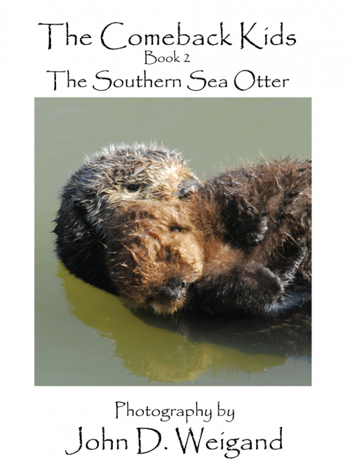 'The Comeback Kids' Book 2, The Southern Sea Otter