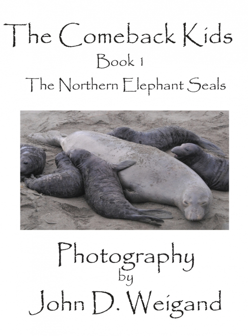 'The Comeback Kids' Book 1, The Northern Elephant Seals