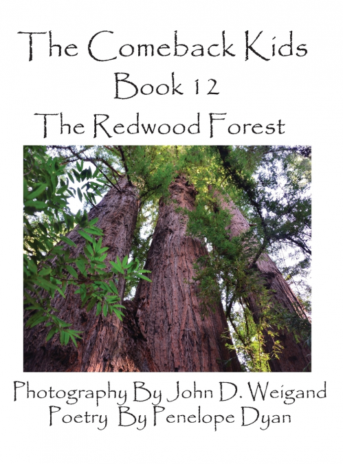 The Comeback Kids, Book 12, the Redwood Forest