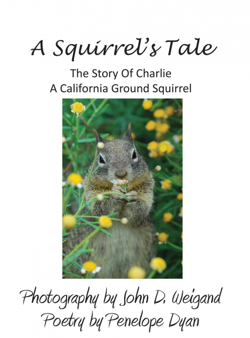 A Squirrel’s tale, The Story Of Charlie, A California Ground Squirrel