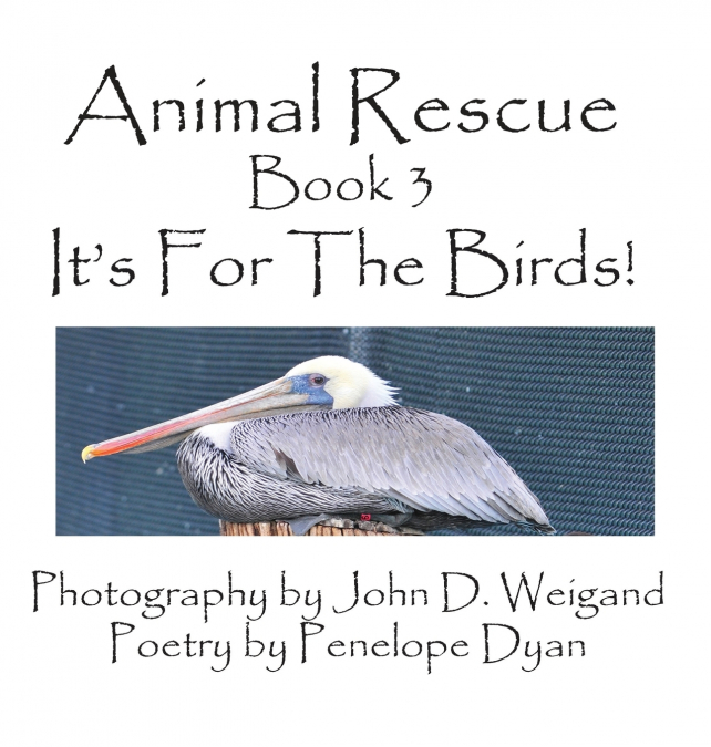 Animal Rescue, Book 3, It’s for the Birds!