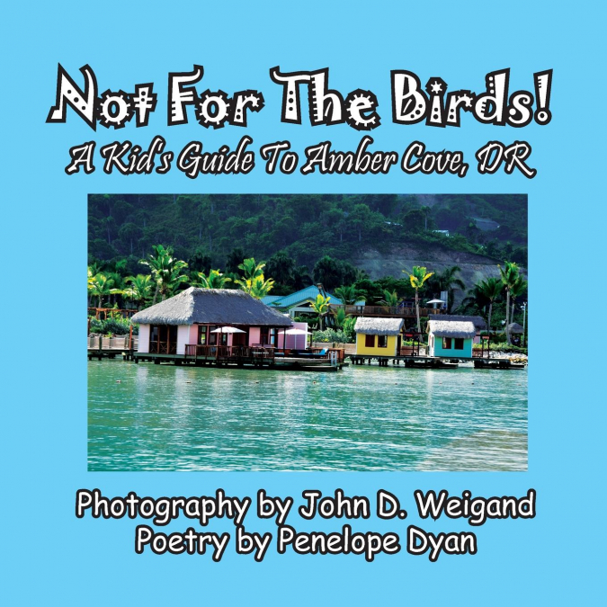 Not For The Birds! A Kid’s Guide To Amber Cove, DR