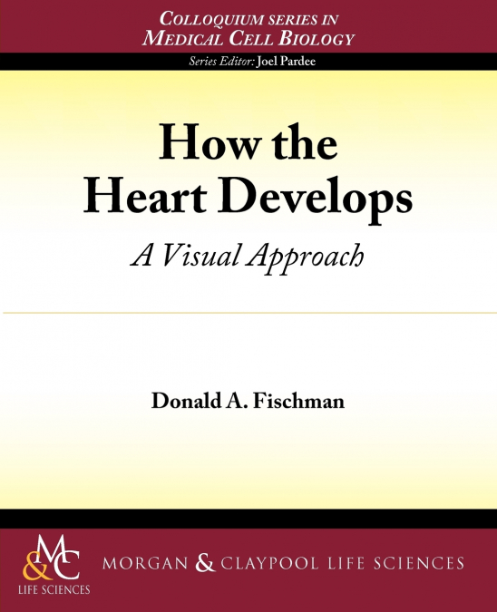 How the Heart Develops