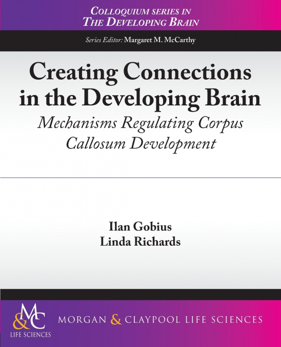 Creating Connections in the Developing Brain