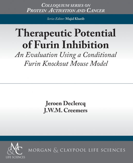 Therapeutic Potential of Furin Inhibition