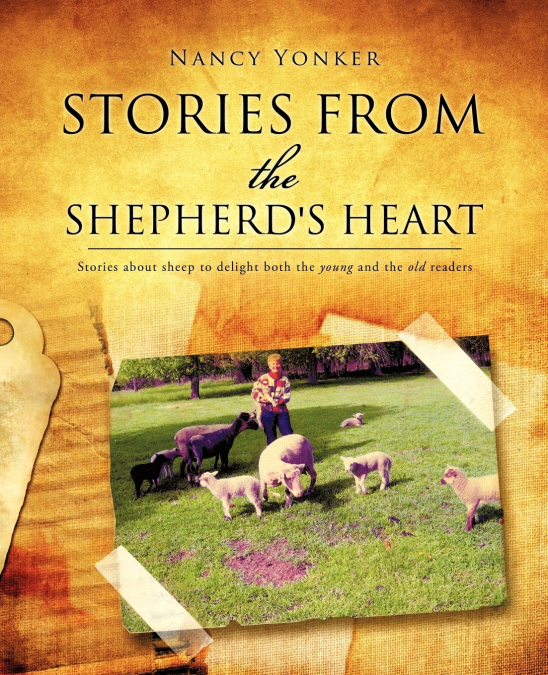 Stories from the Shepherd’s heart