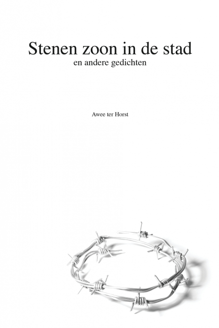 Stenen zoon in de stad