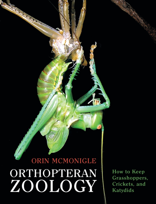 Orthopteran Zoology