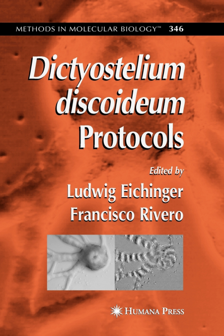 Dictyostelium discoideum Protocols