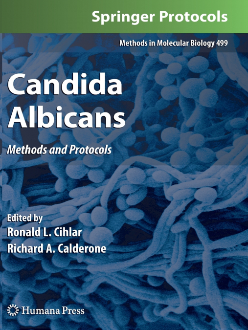 Candida Albicans