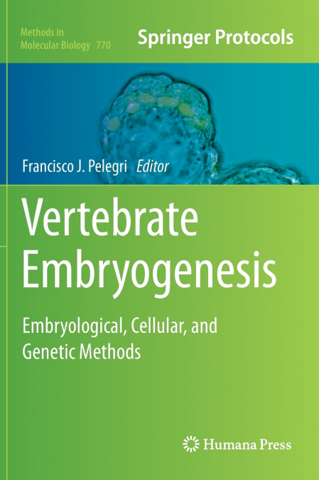 Vertebrate Embryogenesis