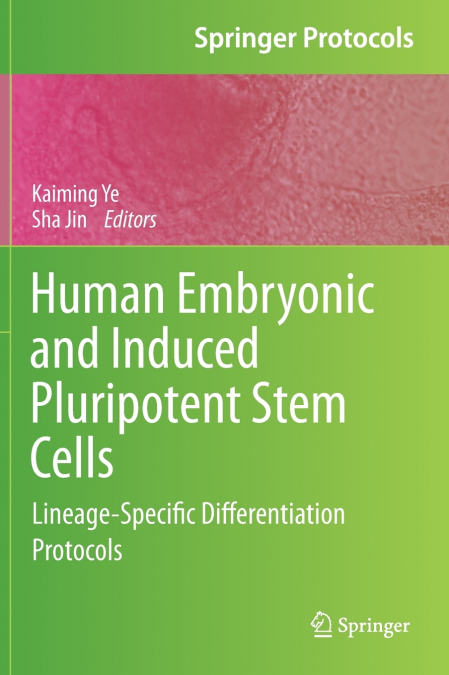 Human Embryonic and Induced Pluripotent Stem Cells