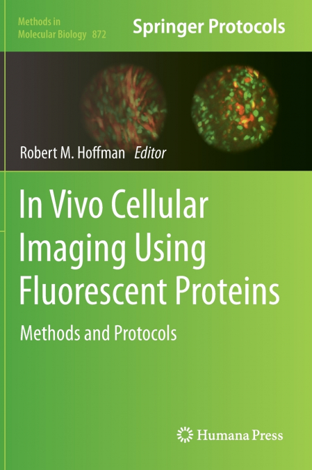 In Vivo Cellular Imaging Using Fluorescent Proteins