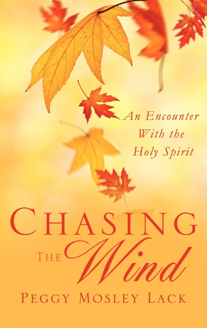 Chasing The Wind
