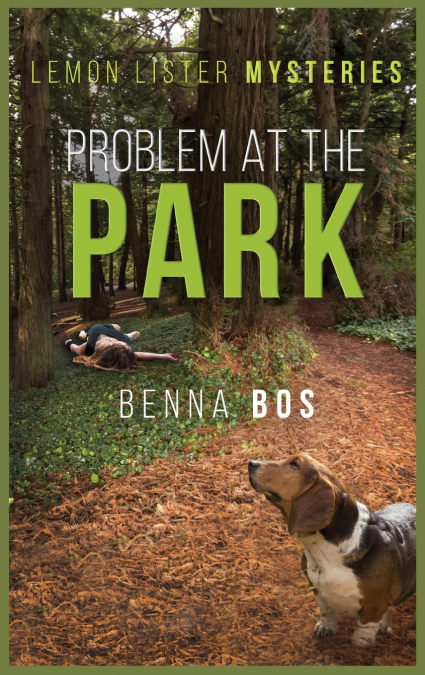 Problem At The Park
