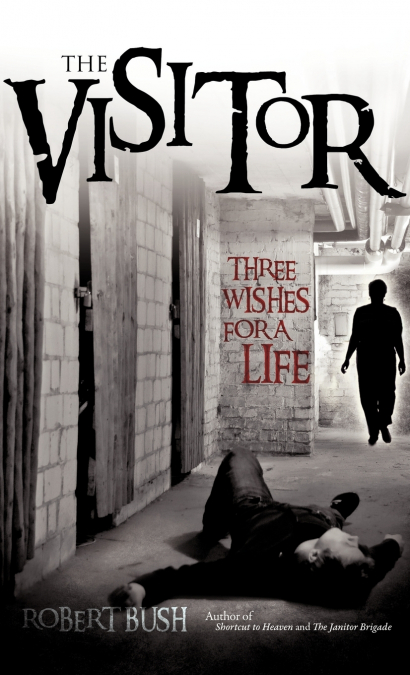 The Visitor