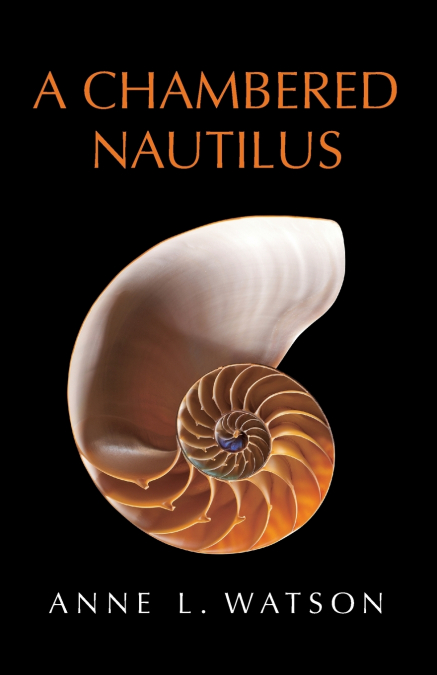 A Chambered Nautilus