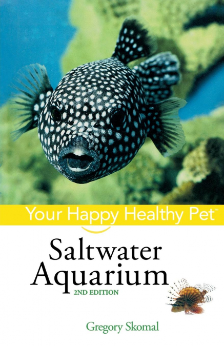 Saltwater Aquarium