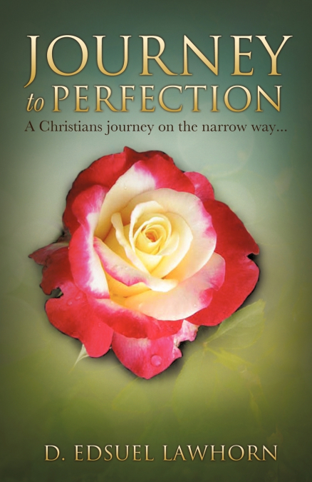 Journey to Perfection