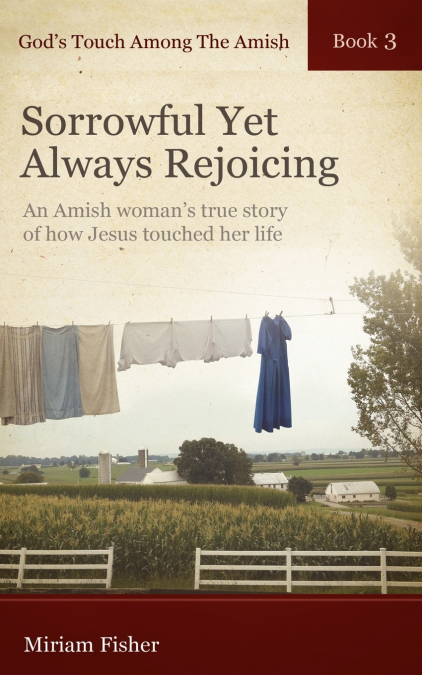 God’s Touch Among The Amish Book 3