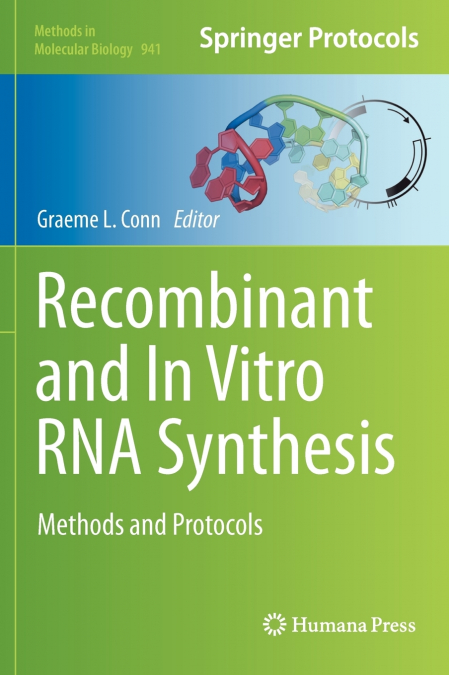 Recombinant and In Vitro RNA Synthesis