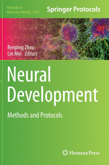 Neural Development