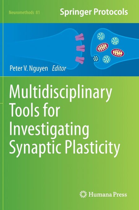 Multidisciplinary Tools for Investigating Synaptic Plasticity