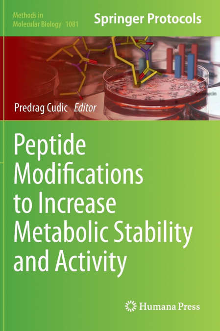 Peptide Modifications to Increase Metabolic Stability and Activity