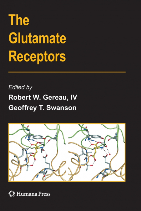 The Glutamate Receptors