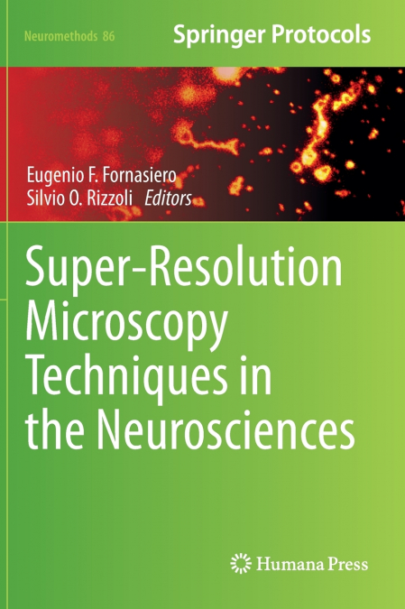 Super-Resolution Microscopy Techniques in the Neurosciences